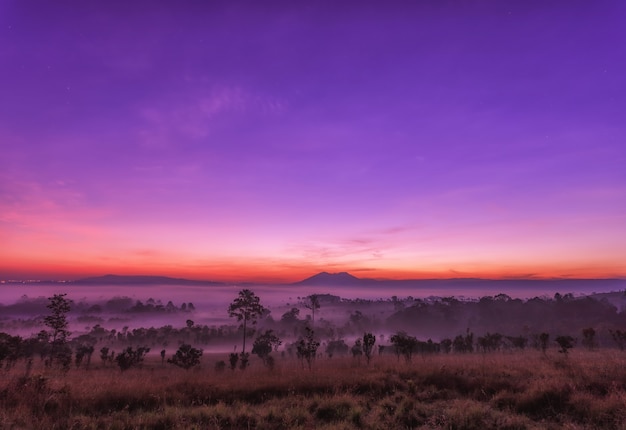 Hermosa puesta de sol y nubes brumosas sobre el bosque en el Parque Nacional Thung Salaeng Luang, Tailandia