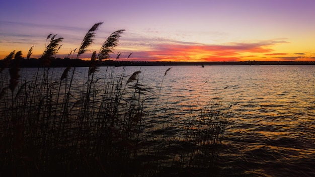 Hermosa puesta de sol en la orilla del río