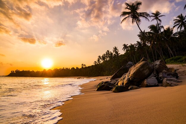 Hermosa puesta de sol en una playa de arena con palmeras Sri Lanka