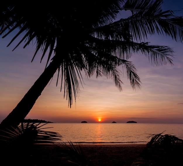 Hermosa puesta de sol en la playa en los trópicos. Cielo y océano