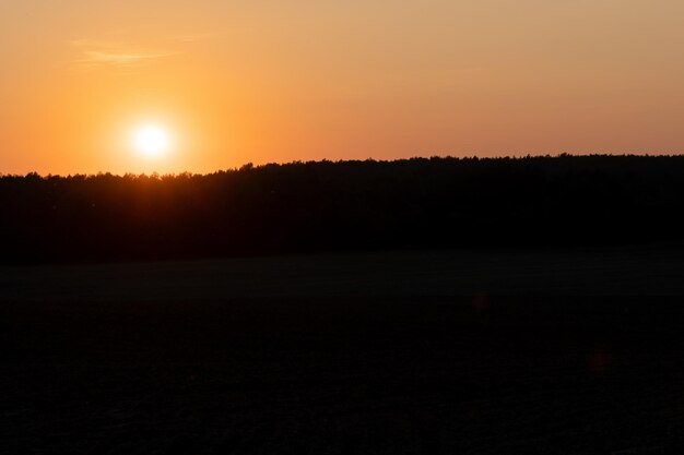 Hermosa puesta de sol sobre el bosque en un día de verano La silueta oscura del bosque y el brillante sol naranja cegador toca ligeramente las copas de los árboles en el horizonte