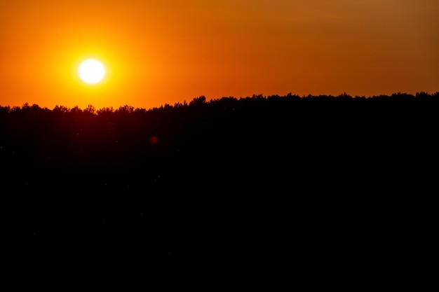 Hermosa puesta de sol sobre el bosque en un día de verano La silueta oscura del bosque y el brillante sol naranja cegador toca ligeramente las copas de los árboles en el horizonte