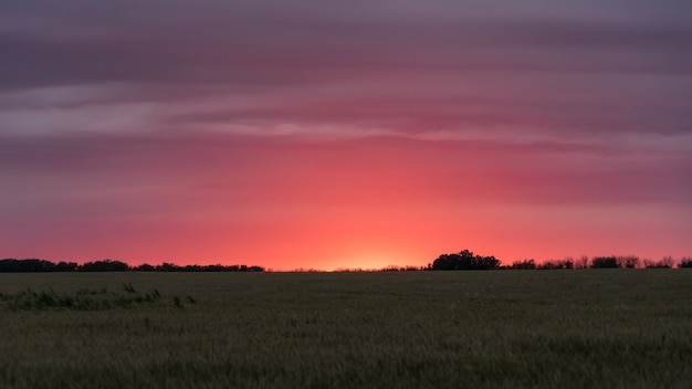 Hermosa puesta de sol sobre el campo. Blagoveshenskaya, Rusia.