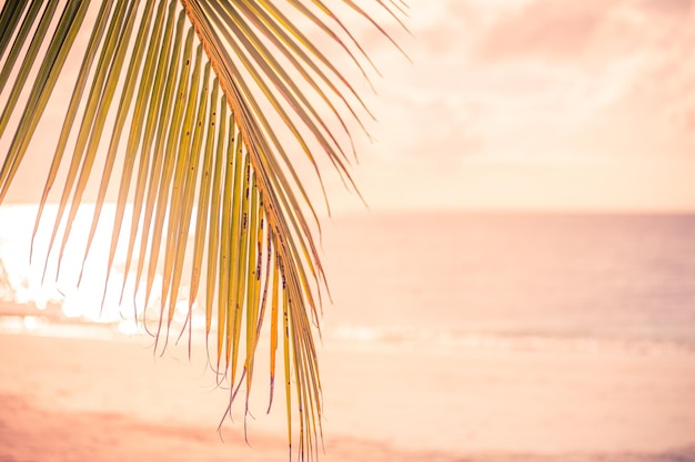 Hermosa puesta de sol sobre el mar con vistas a las palmeras en la playa blanca y olas tranquilas Naturaleza pacífica