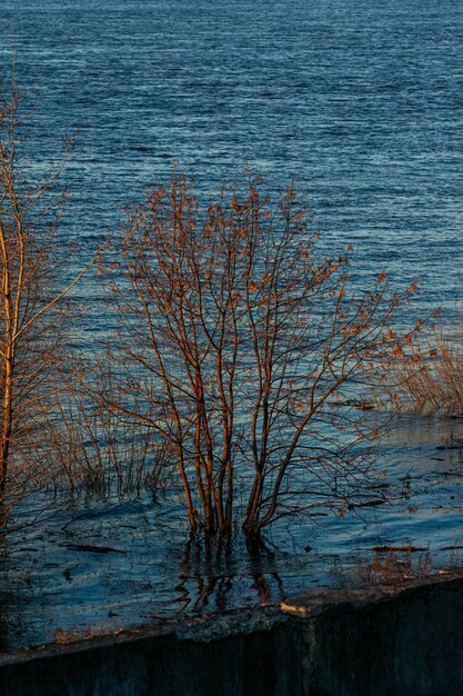 Hermosa puesta de sol sobre el río Volga. Nizhny Novgorod