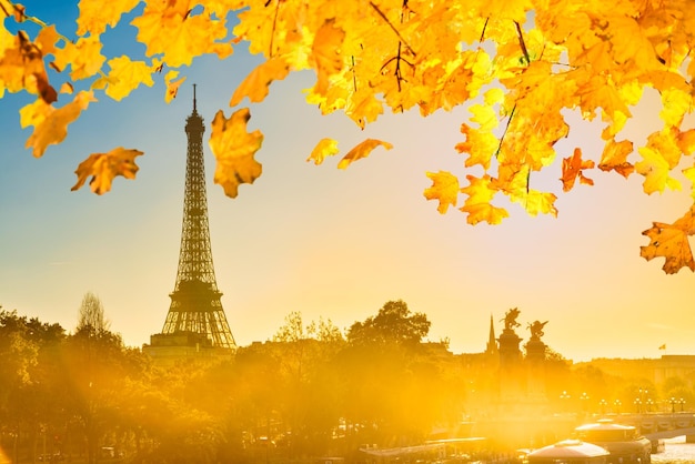 Hermosa puesta de sol con la Torre Eiffel y el río Sena en París con hojas de otoño naranja París Francia