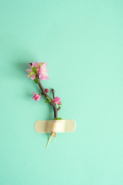 Hermosa rama de flor pegada con yeso adhesivo a la superficie de la menta