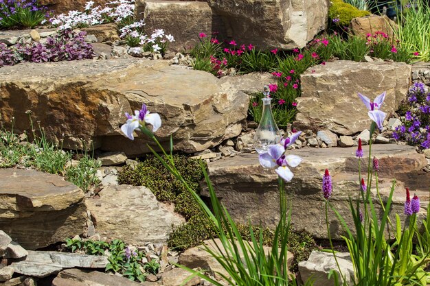 Una hermosa rocalla de jardín con alpinos.