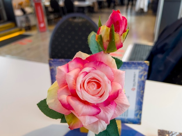 Una hermosa rosa sobre la mesa.