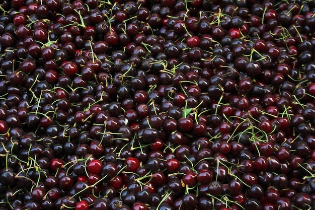 Hermosa y sabrosa foto de comida de cerezas.