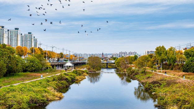 Hermosa temporada de otoño de la ciudad de Gwangju y el río en Gwangju, Corea del Sur.