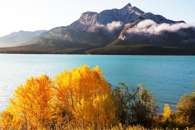 Hermosa temporada de otoño en las montañas canadienses. Fondo de otoño.