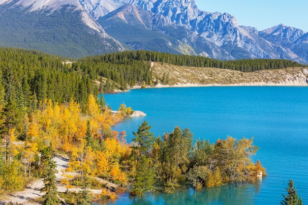 Hermosa temporada de otoño en las montañas canadienses. Fondo de otoño.