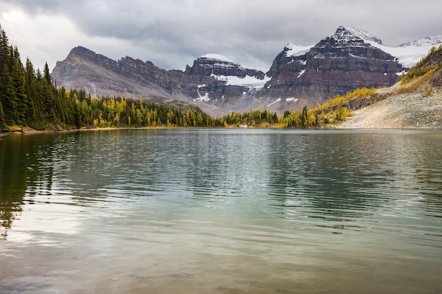 Hermosa temporada de otoño en las montañas canadienses. Fondo de otoño.