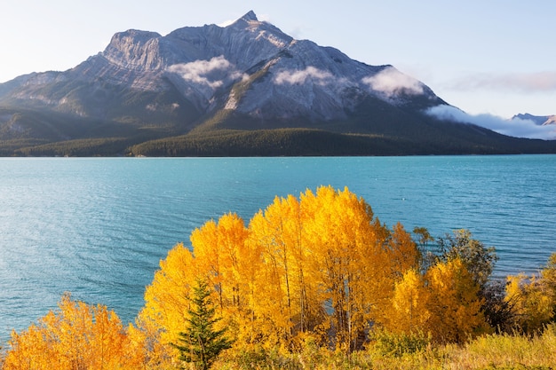 Hermosa temporada de otoño en las montañas canadienses. Fondo de otoño.