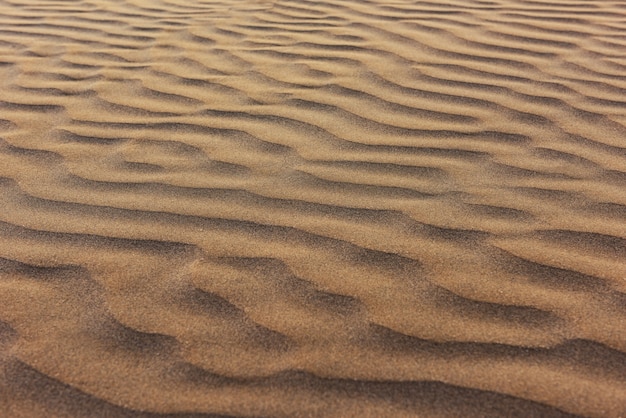 Hermosa textura de dunas de arena limpia