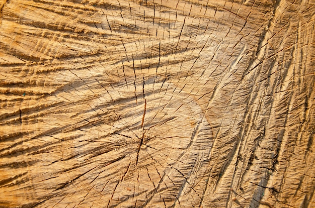 Hermosa textura macro de piedras, corrosión, objetos de madera para el hogar.