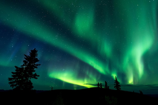 Hermosa toma de aurora boreal, Dawson City, Yukon, Canadá