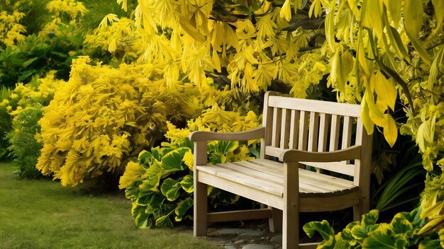 Una hermosa toma de un banco cerca de las plantas de hojas amarillas