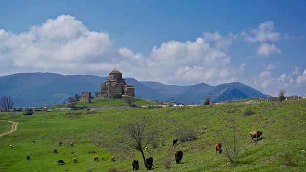 Foto hermosa toma del monasterio jvari tbilisi georgia