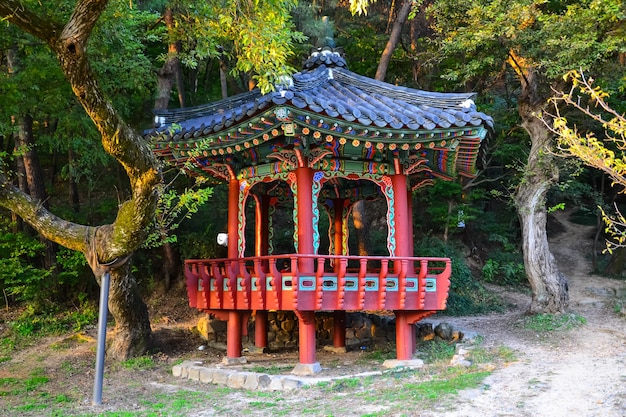 Hermosa toma de un pabellón de arquitectura tradicional coreana en un parque en Daejeon Corea del Sur