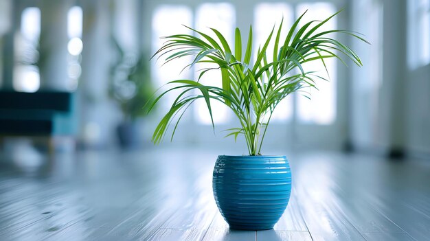 Una hermosa toma de una planta en maceta sentada en un suelo de madera La planta tiene largas hojas verdes y se coloca en una olla azul