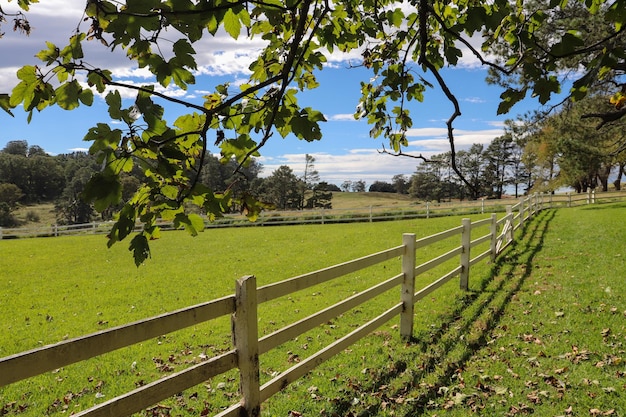 Hermosa toma de tierras altas verdes en Bowral, Australia