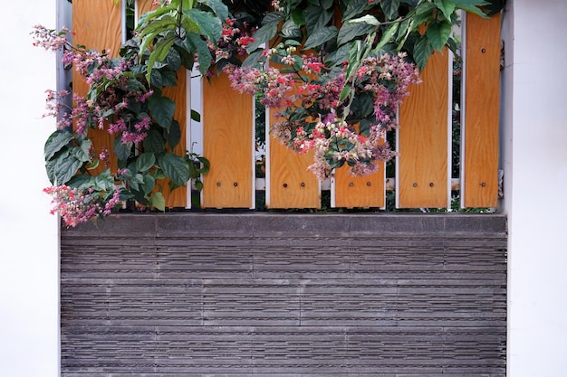 hermosa valla de madera con flor