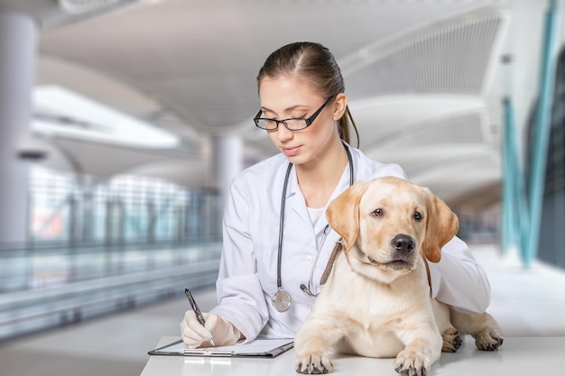 Una hermosa veterinaria joven con un perro en un fondo borroso