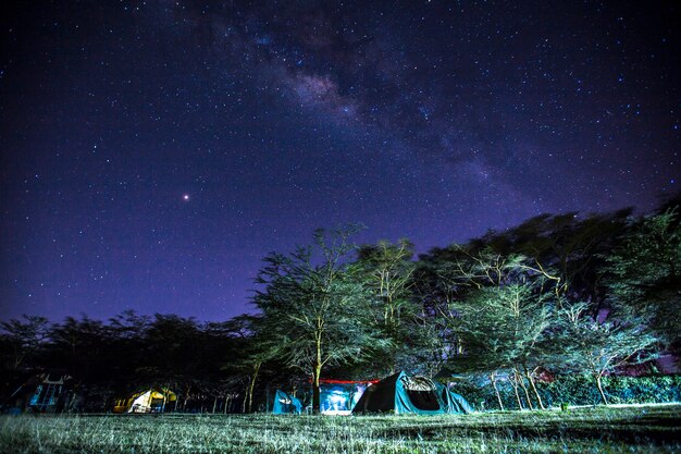 Hermosa vía láctea por la noche en el campamento de Naivasha. Kenia