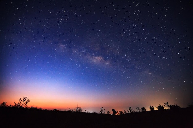 Hermosa vía láctea y la silueta del árbol en un cielo nocturno antes del amanecer