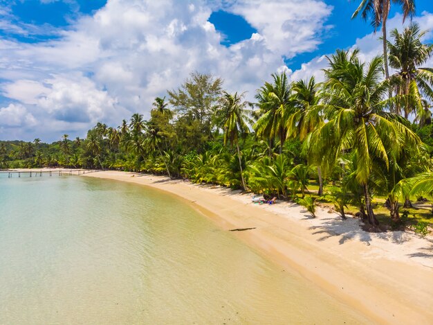 Hermosa vista aérea de la playa y el mar con palmera de coco