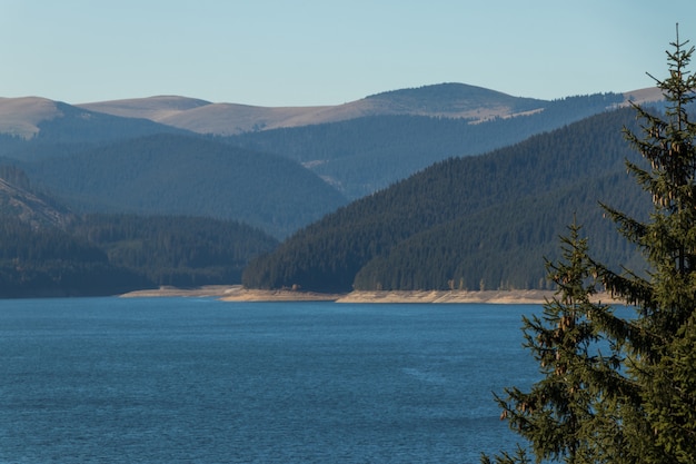 Foto una hermosa vista al lago