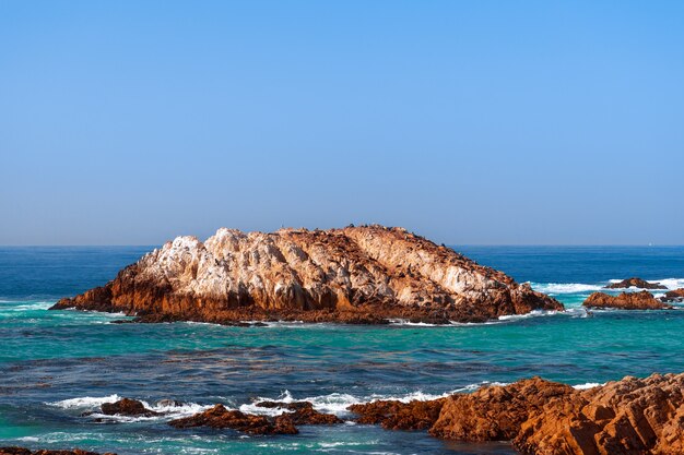 Hermosa vista al mar de Seal Rock Beach