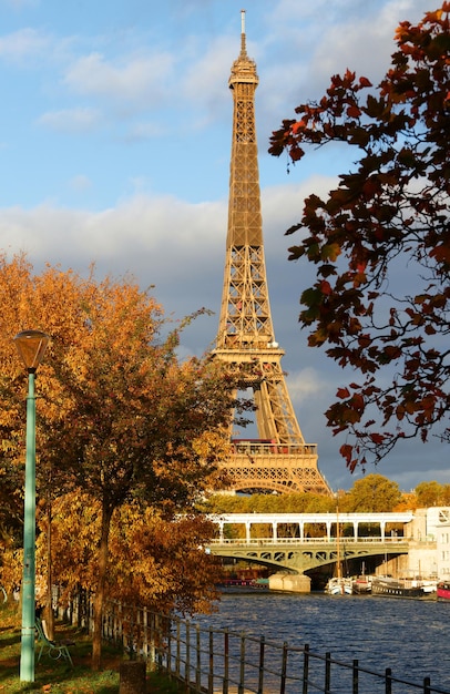 Hermosa vista del árbol de otoño con la torre Eiffel en primer plano en París