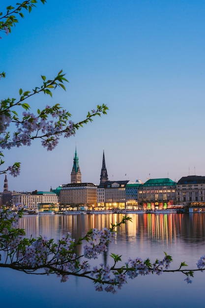 Hermosa vista del ayuntamiento de Hamburgo Rathaus y el río Alster en la noche de primavera