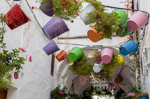 Hermosa vista de los baldes decorativos con plantas en la ciudad de Ostuni