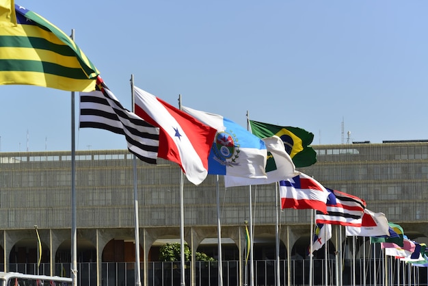 Una hermosa vista de la bandera del estado de brasil