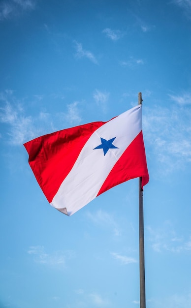 Una hermosa vista de la bandera del estado brasileño