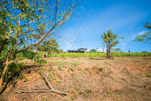 Una hermosa vista de la bodega en el lago Inle Myanmar