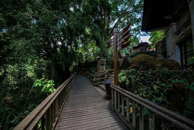 Una hermosa vista del bosque de monos ubicado en Ubud Bali Indonesia