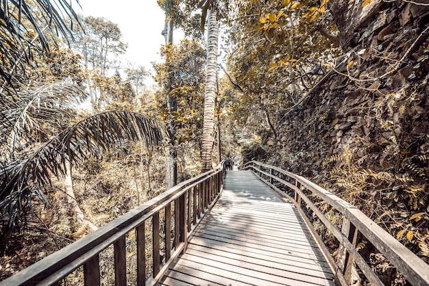 Una hermosa vista del bosque de monos ubicado en Ubud Bali Indonesia