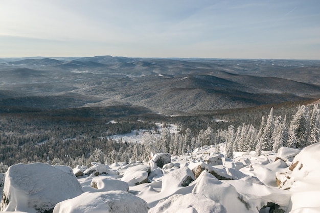 Hermosa vista de un bosque nevado