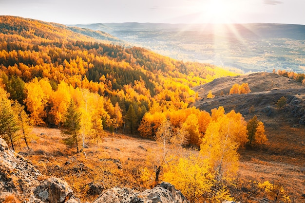 Hermosa vista del bosque de otoño en las montañas. Escena de otoño. Otoño colorido paisaje. Puesta de sol en las montañas.