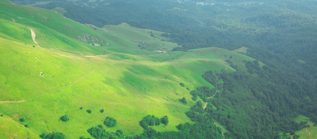 Hermosa vista del bosque en una tierra Armenia