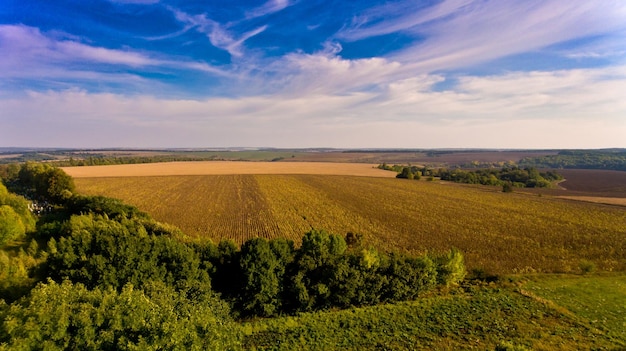 Hermosa vista de campos agrícolas y cielo azul con nubes blancas Vista aérea