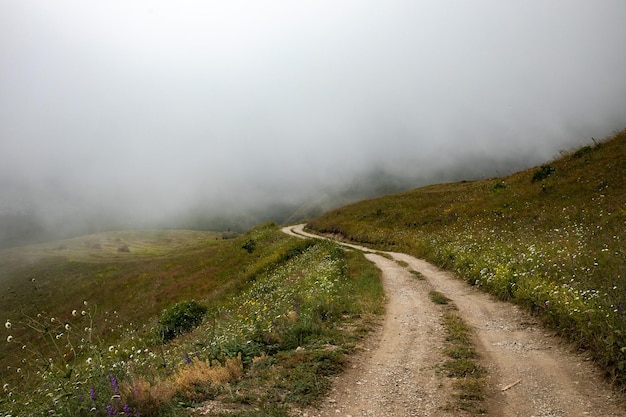 Hermosa vista desde la carretera de montaña