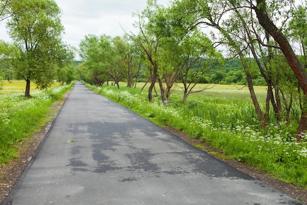 Hermosa vista de la carretera rural bordeada de árboles y valla Naturaleza de verano con hierba verde