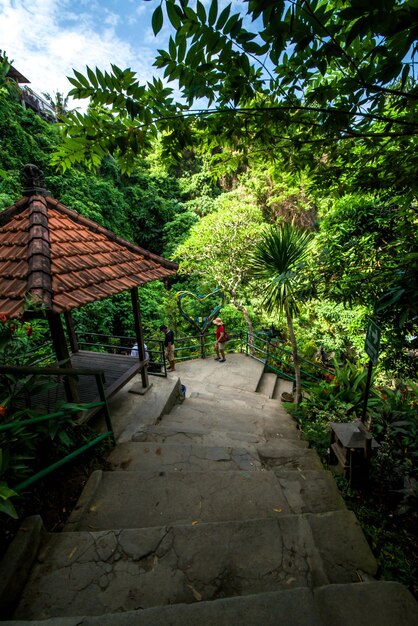 Una hermosa vista de la cascada en Bali Indonesia