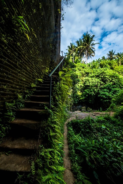 Una hermosa vista de la cascada en Bali Indonesia